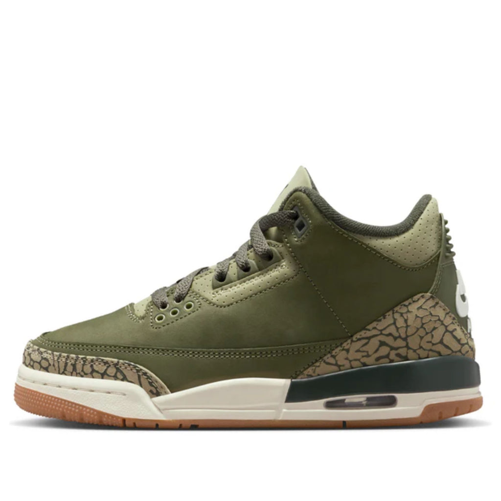 Jordan 3 Retro Family Affair (GS)