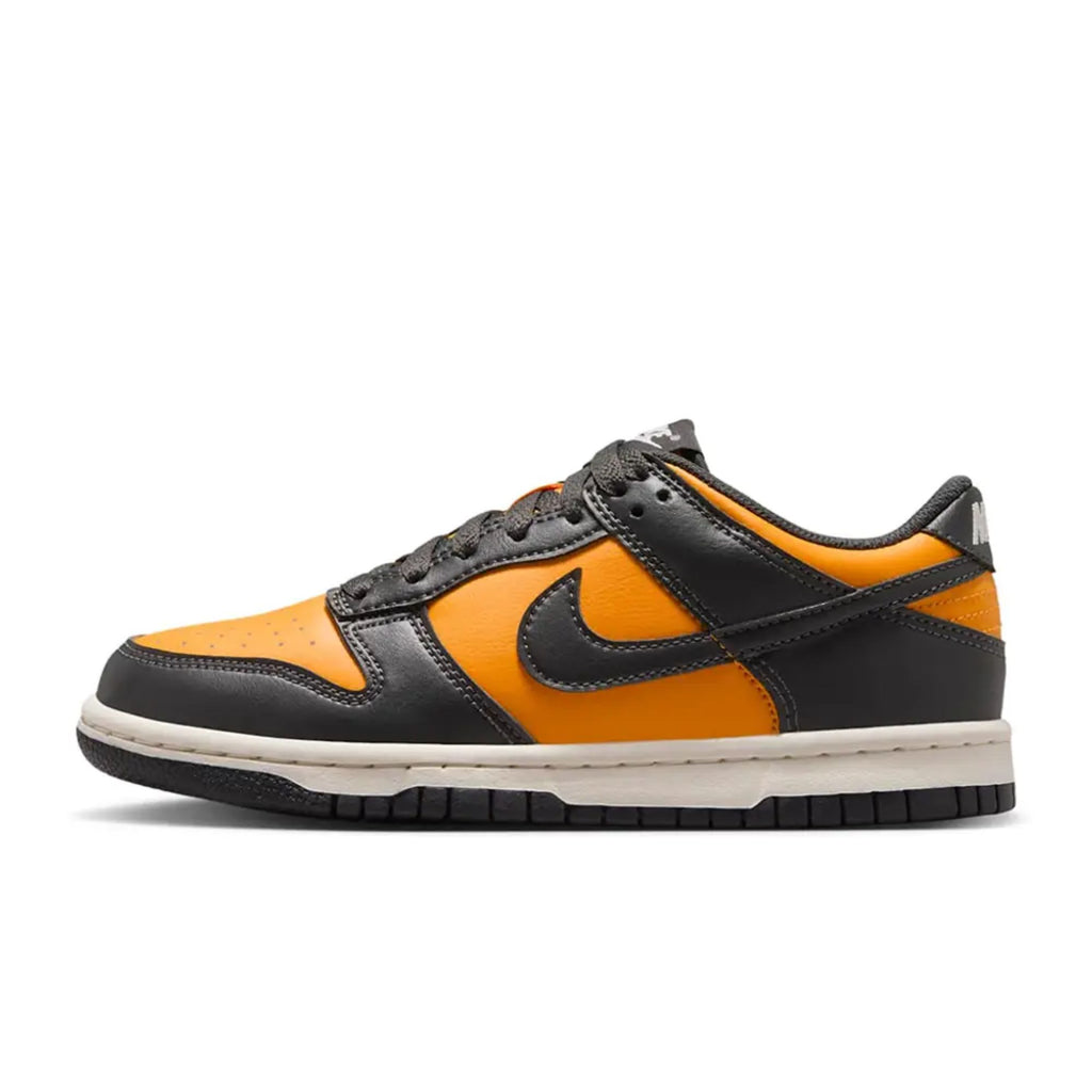 NIKE DUNK LOW (GS)